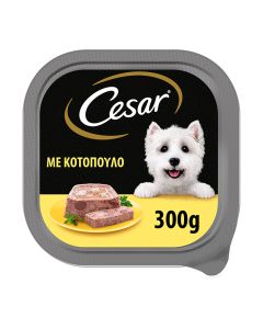 Cesar Κοτόπουλο 300gr