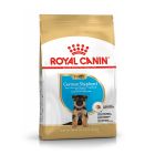 Royal Canin German Shepherd Puppy 12kg