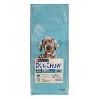 Purina Dog Chow Puppy Large Breed Γαλοπούλα 14kg