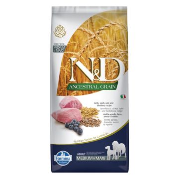 N&D Ancestral Dog Adult Medium-Maxi με Αρνί & Μύρτιλο 12kg