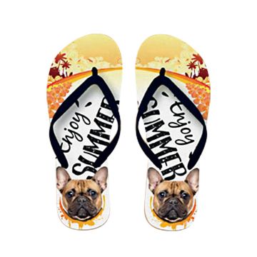x PLENTY GIFTS ΣΑΓΙΟΝΑΡΕΣ FLIP FLOPS FRENCH BULLDOG  Νο 37-39