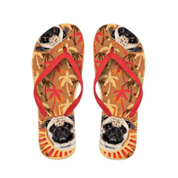 x PLENTY GIFTS ΣΑΓΙΟΝΑΡΕΣ FLIP FLOPS PUG  Νο 40-42