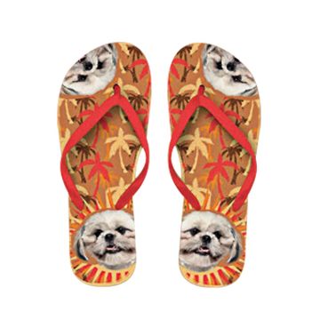 x PLENTY GIFTS ΣΑΓΙΟΝΑΡΕΣ FLIP FLOPS SHIH TZU  Νο 37-39